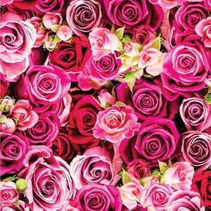 Meet your Posher, Susan